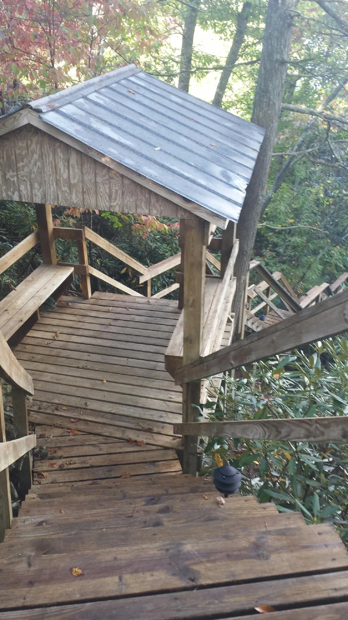 Metal roofed shelter over wooden steps on a wooded walkway — Skylight Repair & Installation work by our crew in Salyer